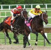 Horse Racing For Today Feature Image